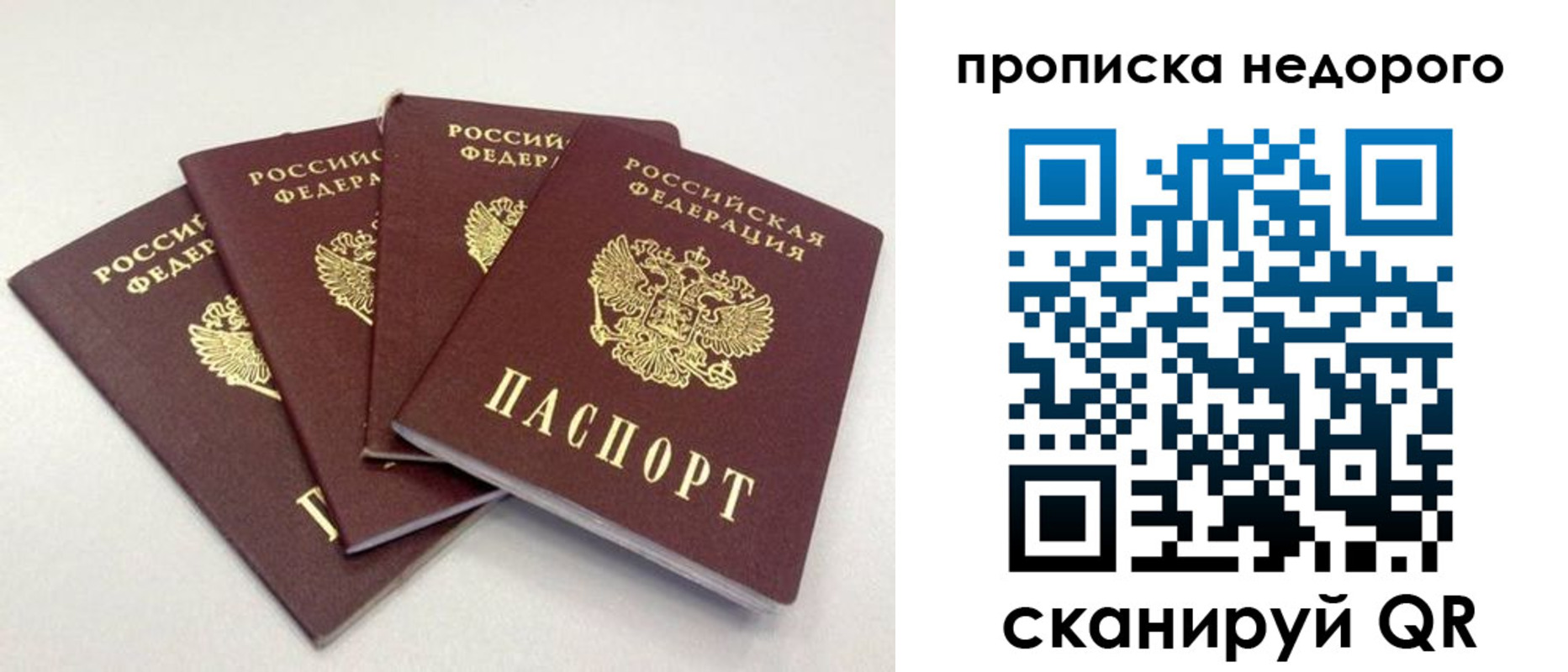прописка законно в Кудрово